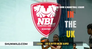 Basketball in the UK: Is There a League?