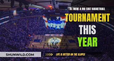 Big East Basketball Tournament: What to Expect This Year
