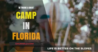 Discover Florida's Boot Camps: Are They Right for You?