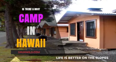Discover Hawaii's Boot Camp Options: Fitness Retreats and Military Training