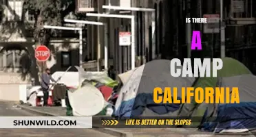 Exploring the Myth: Does Camp California Really Exist?