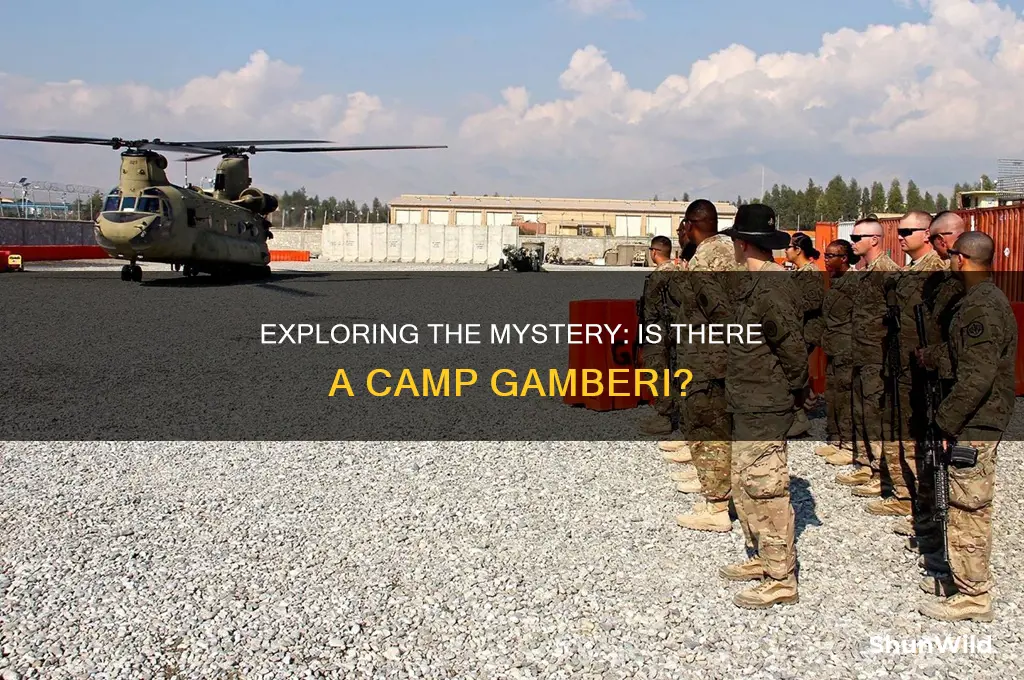 is there a camp gamberi