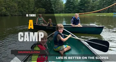 Exploring the Mystery: Is There a Camp Nearby for Adventure?