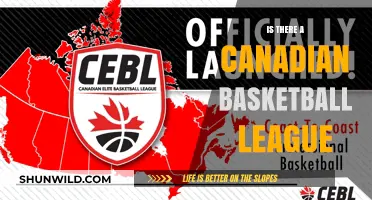 Canadian Basketball: Pro Leagues and Rising Popularity