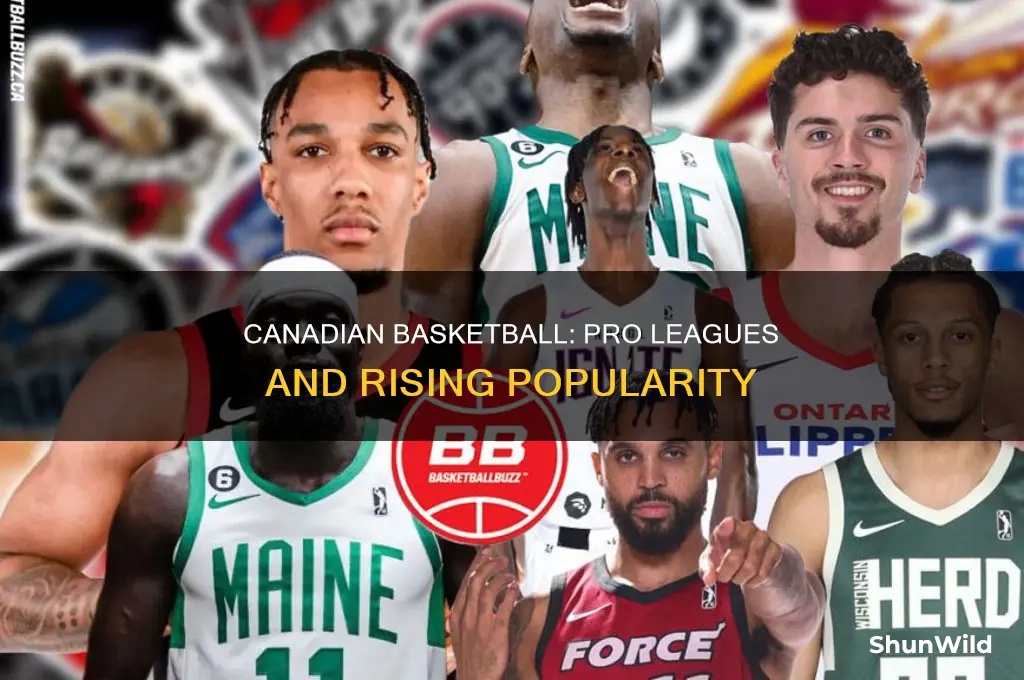 is there a canadian basketball league