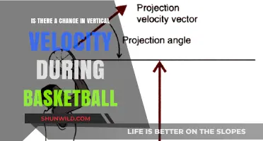 Vertical Velocity: Basketball's Dynamic Changes