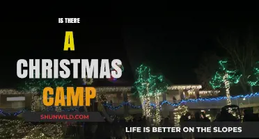 Exploring the Magic of Christmas Camps: A Festive Adventure Awaits