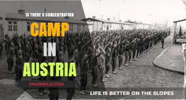 Uncovering Austria's Dark History: Concentration Camps and Their Legacy