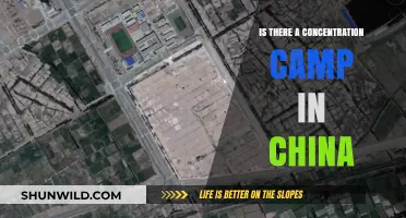 Unveiling the Truth: China's Controversial Detention Camps Explored