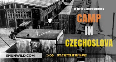 Czechoslovakia's Dark History: Uncovering Concentration Camps' Legacy