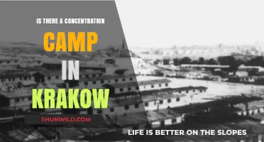 Exploring Krakow's Dark History: The Truth About Concentration Camps