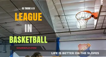 The Path to the NBA: Basketball's D-League