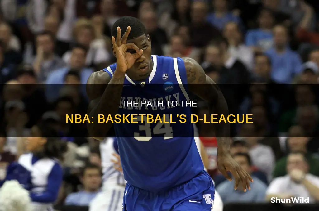 is there a d league in basketball