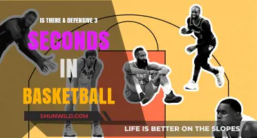 Defensive 3-Seconds: What's the Rule in Basketball?