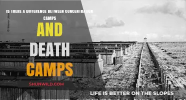 Concentration Camps vs. Death Camps: Understanding the Historical Differences
