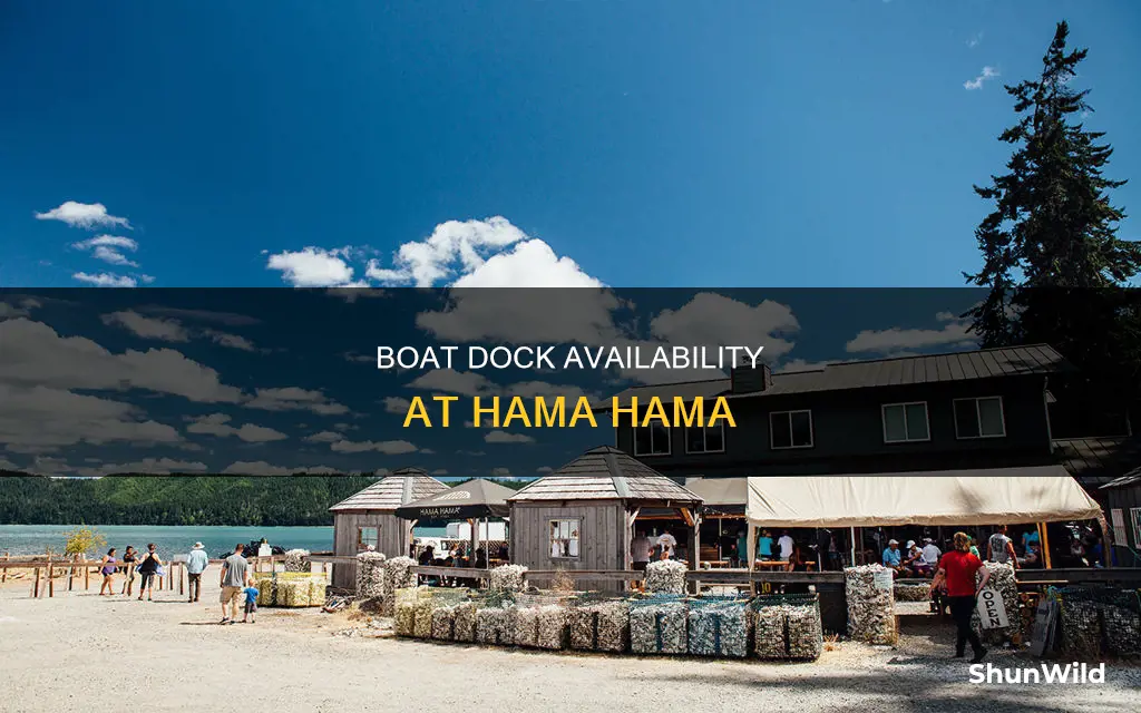 is there a dock for a boat at hama hama