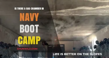 Navy Boot Camp Gas Chamber: Fact or Fiction Explained