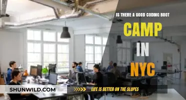 Top NYC Coding Bootcamps: Finding the Best Fit for You
