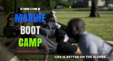 Marine Boot Camp Fitness: Gym Facilities and Physical Training Explained