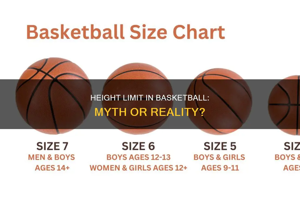is there a height limit for basketball