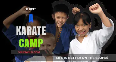 Discover Exciting Karate Camps: Train, Learn, and Grow This Summer!