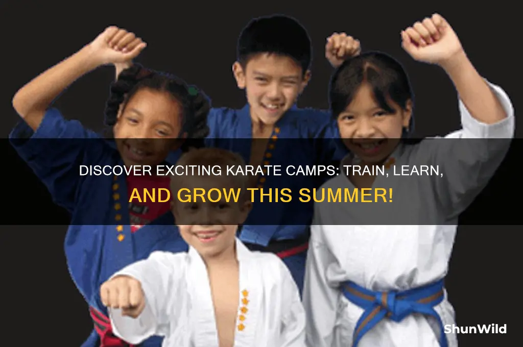 is there a karate camp