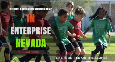 Uncovering the Truth: Kids Concentration Camp in Enterprise, Nevada?