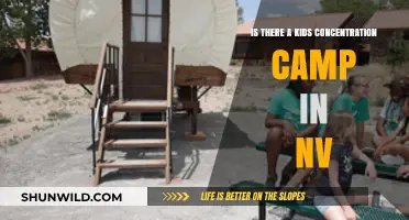 Uncovering the Truth: Alleged Kids Concentration Camp in Nevada