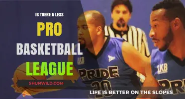The Minor Basketball League: A Different Ball Game