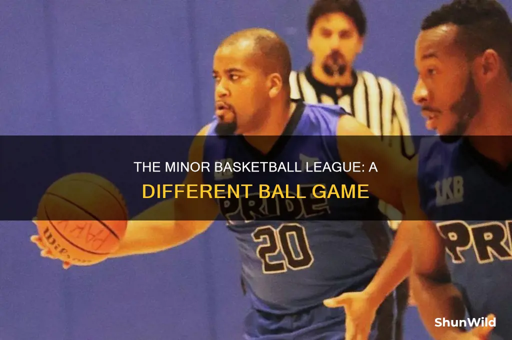 is there a less pro basketball league