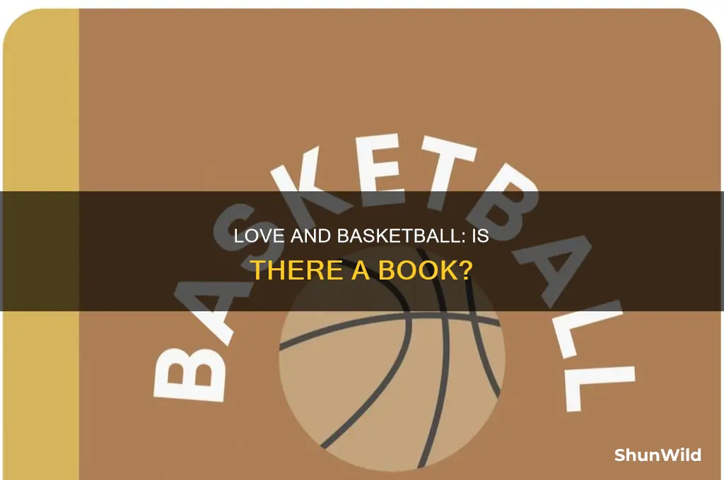 is there a love and basketball book