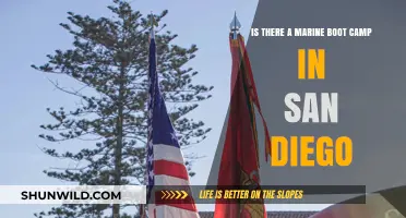 Exploring San Diego's Marine Boot Camp: Fact or Fiction?