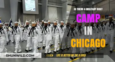 Exploring Chicago's Military Boot Camp Options: Fact or Fiction?