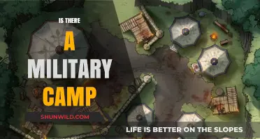 Exploring the Existence and Purpose of Military Camps Worldwide