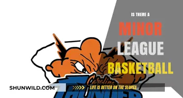 The Basketball Minor Leagues: What, Where, and How?