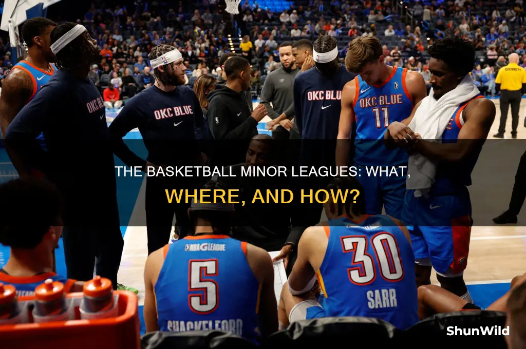 is there a minor league basketball