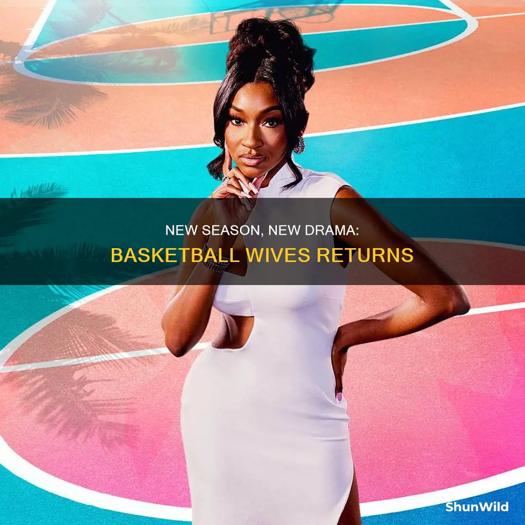 is there a new basketball wives