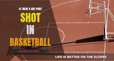 The One-Shot Wonder: Unlocking Basketball's Ultimate Mystery