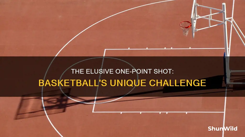 is there a one point shot in basketball