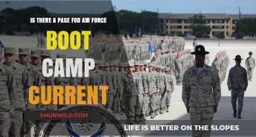 Current Air Force Boot Camp Page: What You Need to Know