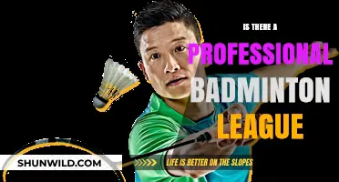 Badminton Leagues: Professional or Amateur?