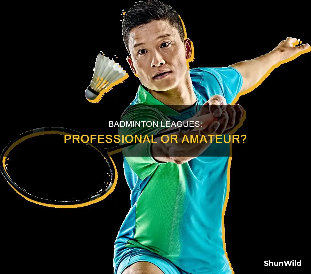 is there a professional badminton league