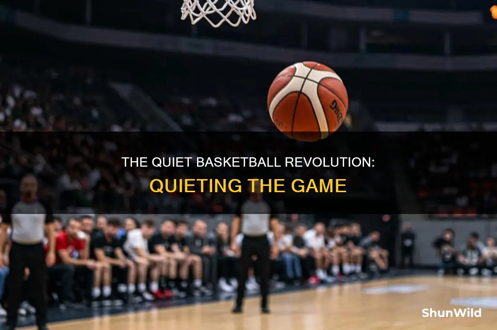 is there a quiet basketball
