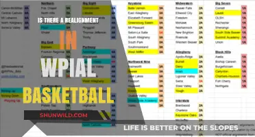 WPAL Basketball: A New Era of Realignment?