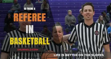 Referees: Basketball's Unsung Heroes