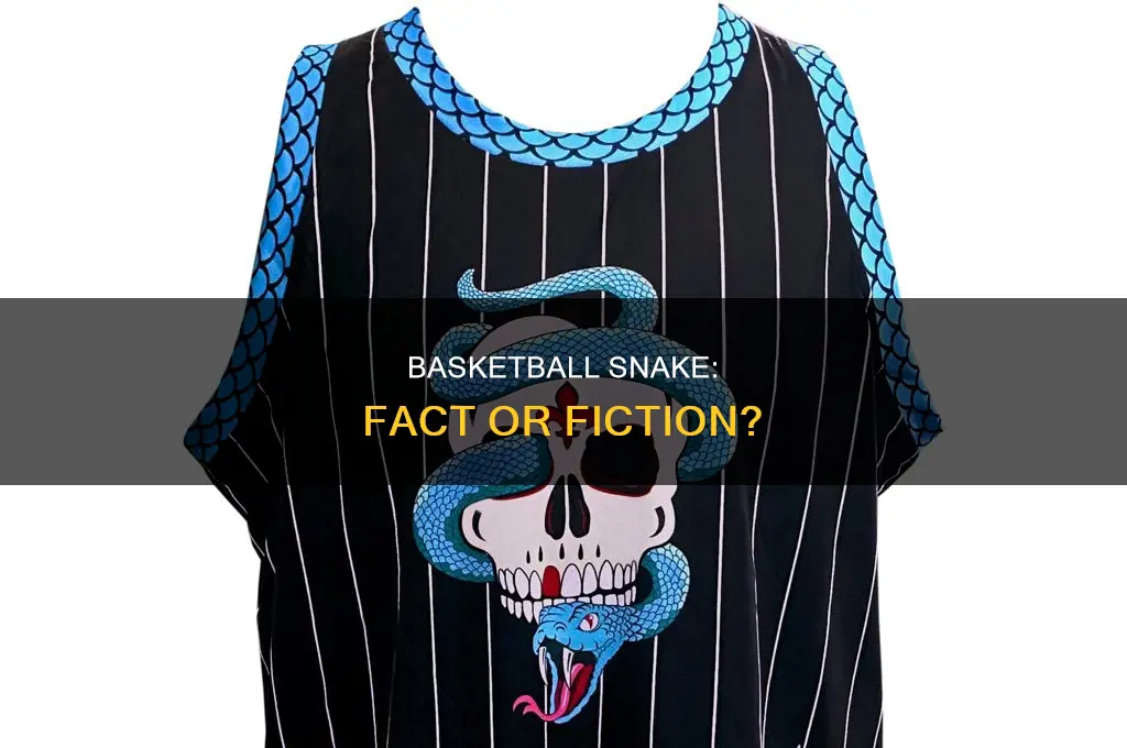 is there a snake known as the basketball snake