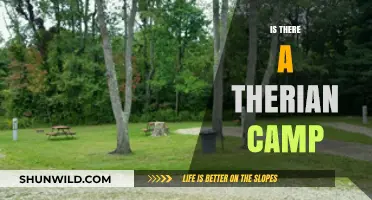 Exploring the Existence of a Therian Camp: Fact or Fiction?