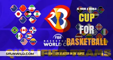 Basketball World Cup: Does it Exist?