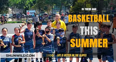 AAU Basketball: Summer Plans and Schedules