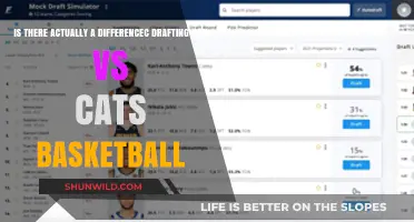 Fantasy Basketball: Drafting H2H vs. Cats — What's the Difference?